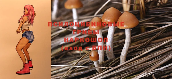 гидропоника Белокуриха