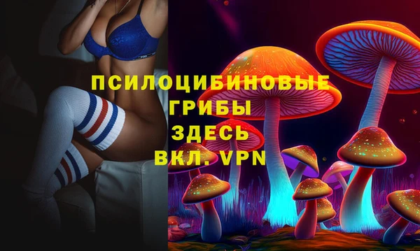 гидропоника Белокуриха