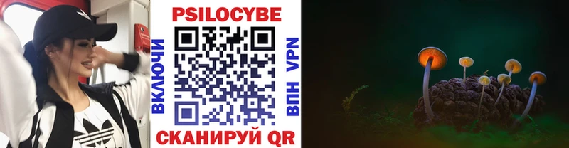Псилоцибиновые грибы ЛСД  ссылка на мегу tor  Видное 