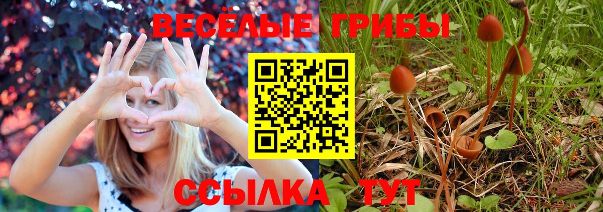 Видное  магазин продажи наркотиков  Вход с VPN  Псилоцибиновые грибы мухоморы 