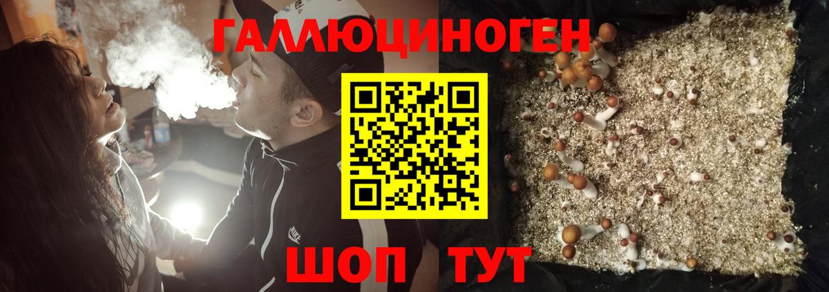 где купить наркоту  Видное  Псилоцибиновые грибы Magic Shrooms  Галлюциногенные грибы ЛСД 